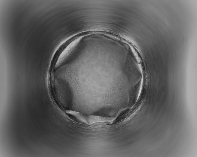 X0000095960928200802011119