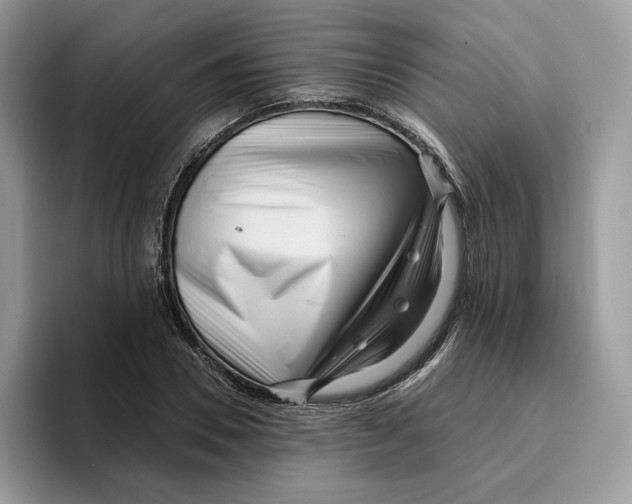 X0000095960930200802011119