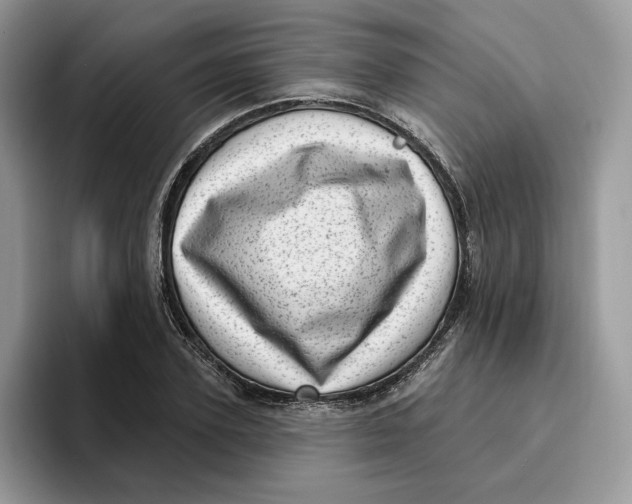 X0000095960931200802011119