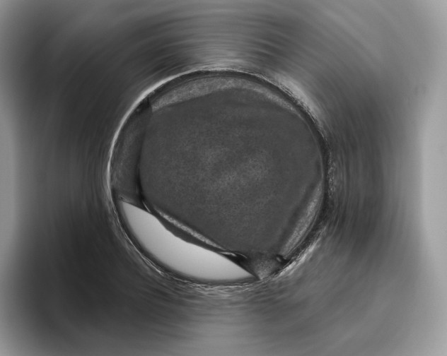 X0000095960932200802011119