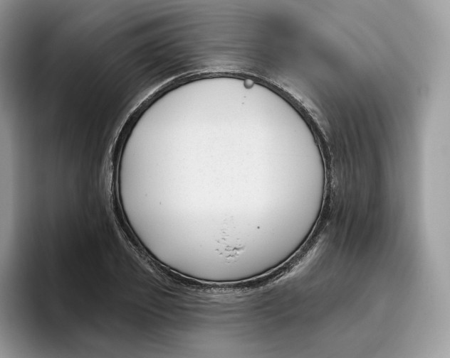 X0000095960933200802011119