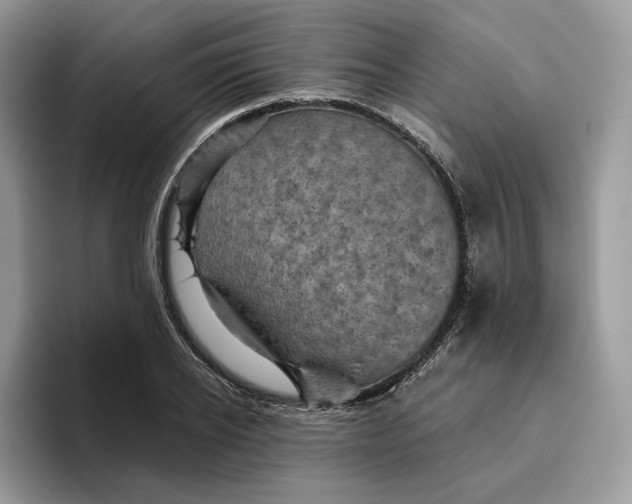 X0000095960934200802011119