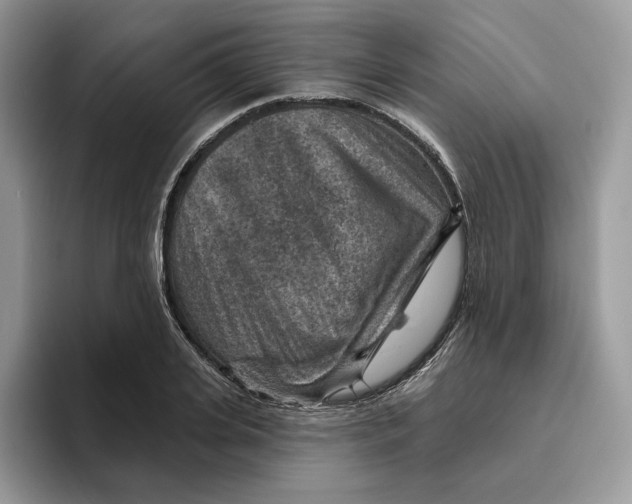 X0000095960935200802011119