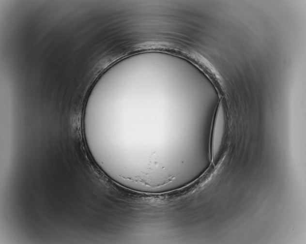 X0000095960937200802011119