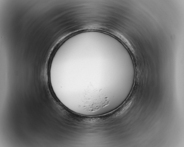 X0000095960939200802011119