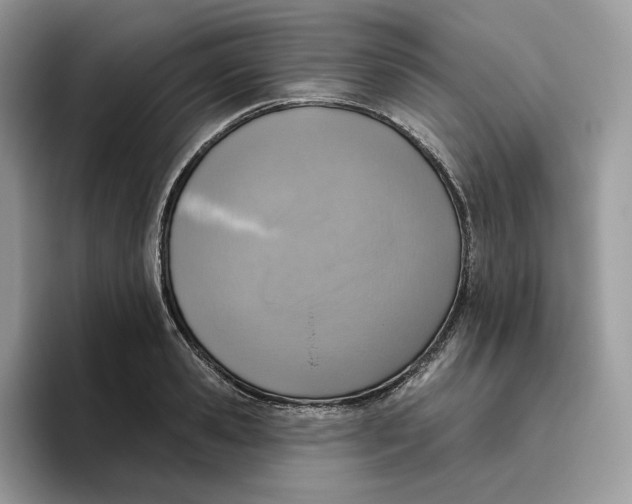 X0000095960941200802011119