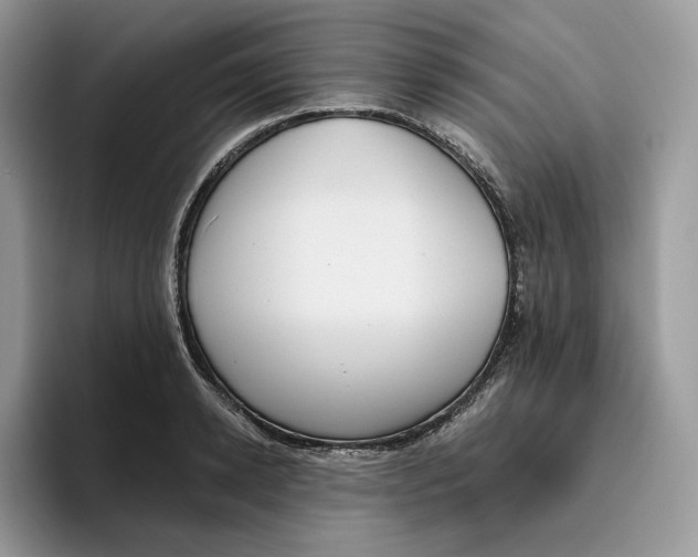 X0000095960942200802011119