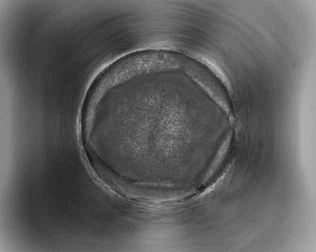 X0000095960944200802011119