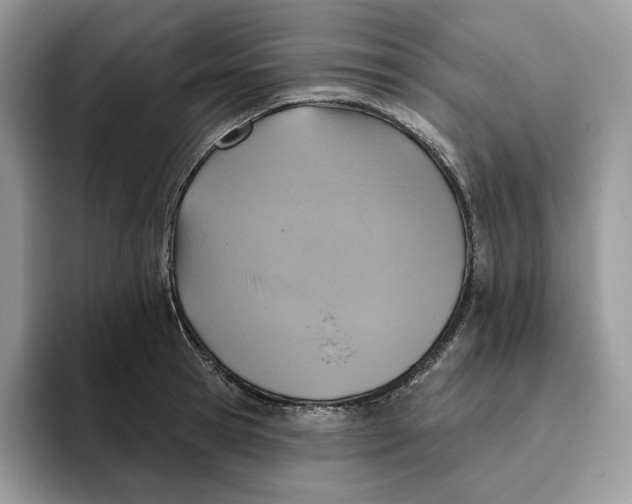 X0000095960945200802011119