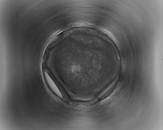 X0000095960946200802011119