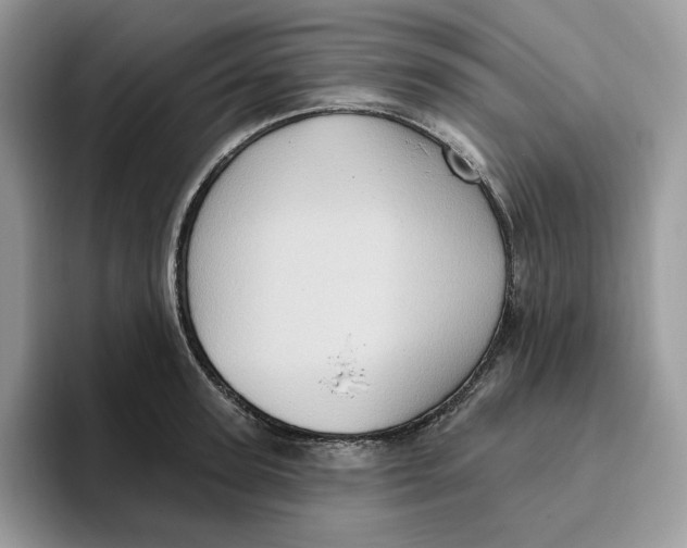 X0000095960947200802011119