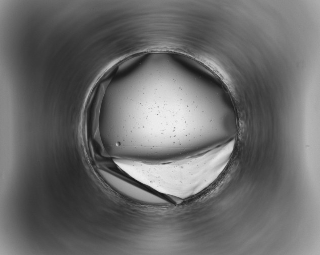 X0000095960948200802011119