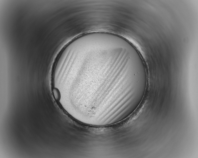 X0000095960949200802011119