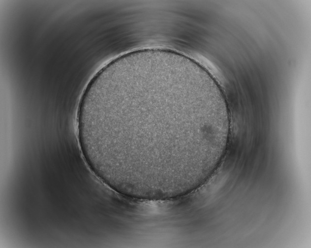 X0000095960950200802011119