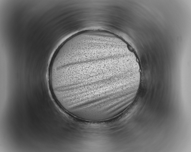 X0000095960951200802011119