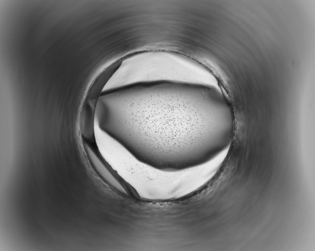 X0000095960952200802011119