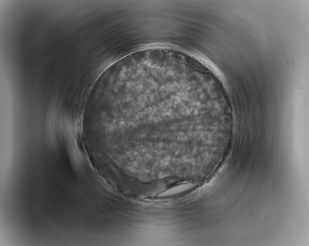 X0000095960953200802011119