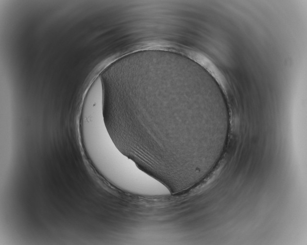 X0000095960954200802011119