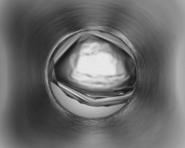 X0000095960955200802011119