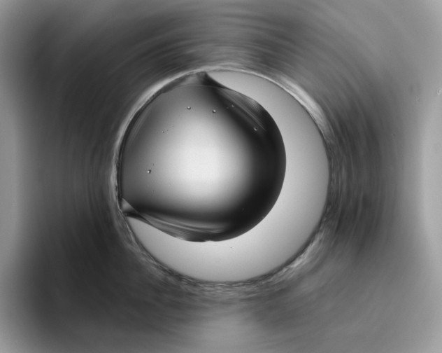 X0000095960956200802011119