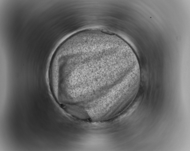 X0000095960959200802011119