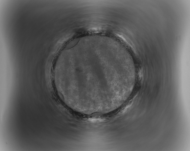 X0000095960961200802011119