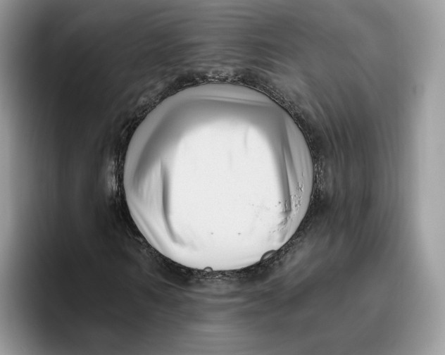 X0000095960962200802011119