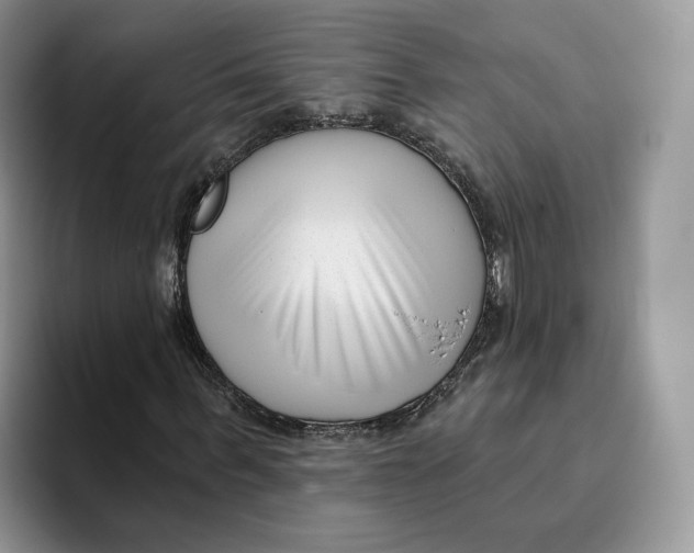 X0000095960963200802011119