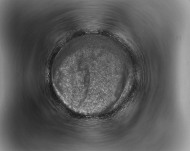 X0000095960964200802011119