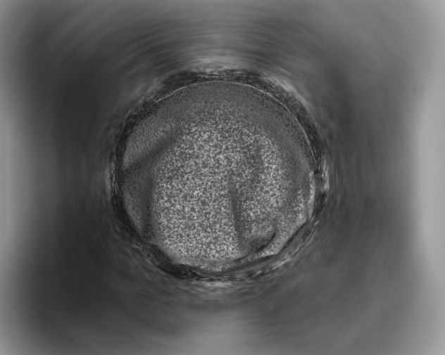 X0000095960965200802011119