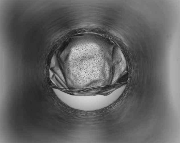 X0000095960966200802011119