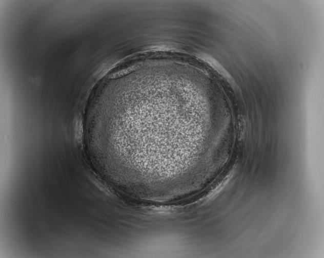 X0000095960969200802011118