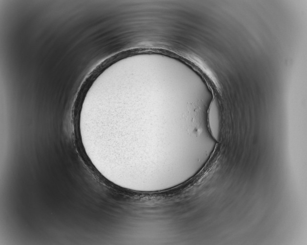 X0000095960972200802011118