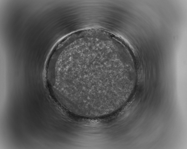 X0000095960975200802011118