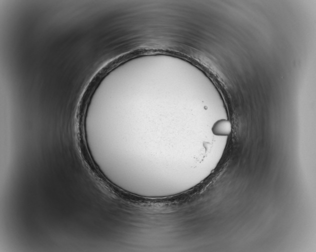 X0000095960976200802011118