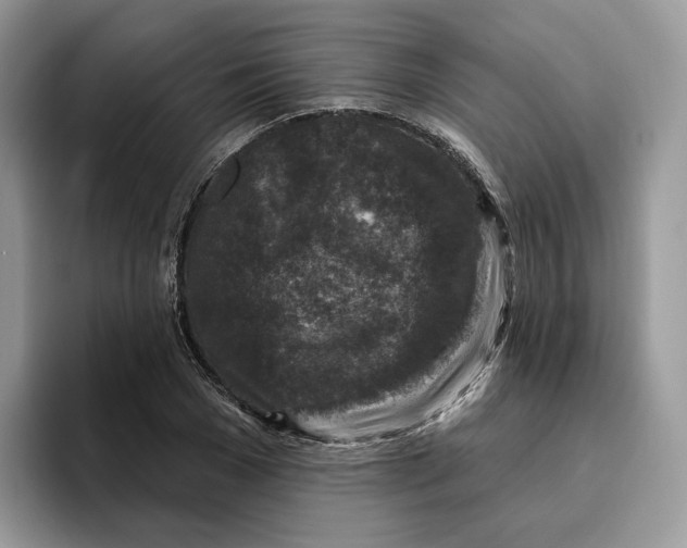 X0000095960977200802011118