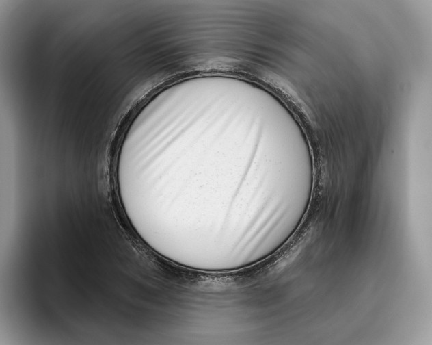 X0000095960978200802011118