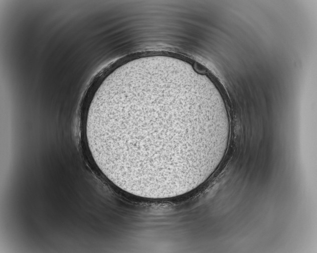 X0000095960979200802011118