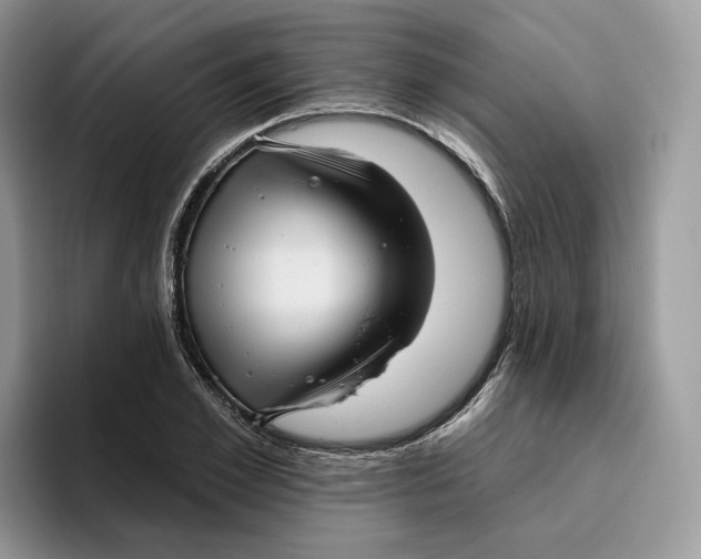 X0000095960981200802011118