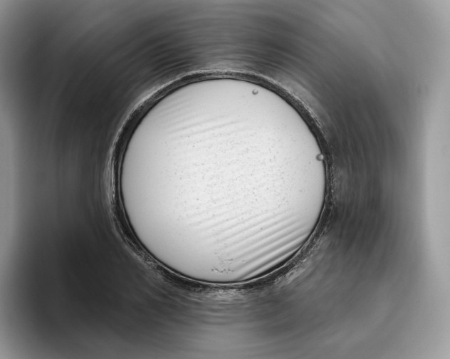 X0000095960982200802011118