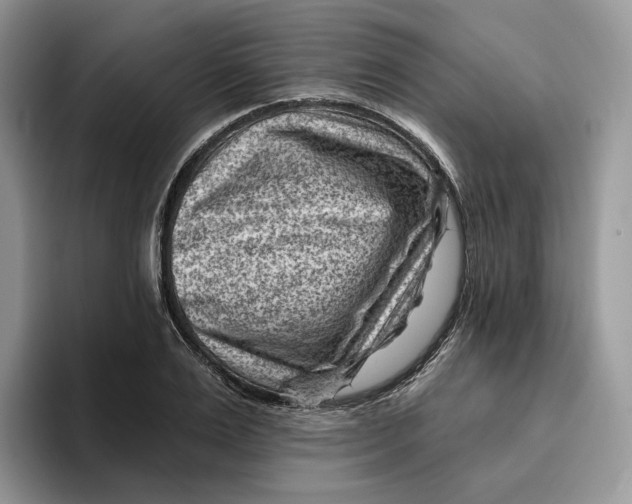 X0000095960983200802011118