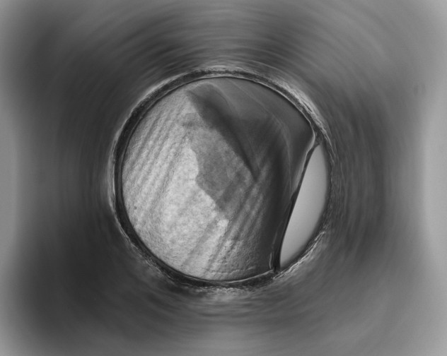 X0000095960984200802011118