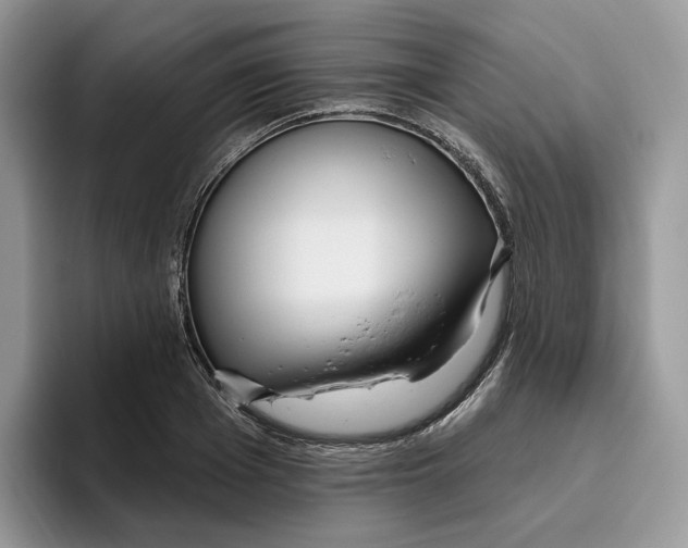 X0000095960985200802011118