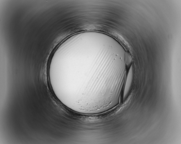 X0000095960986200802011118