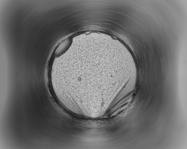 X0000095960987200802011118