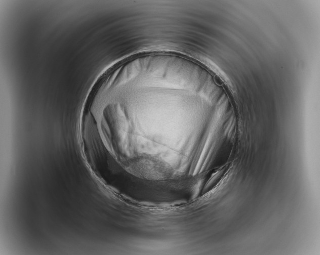 X0000095960988200802011118