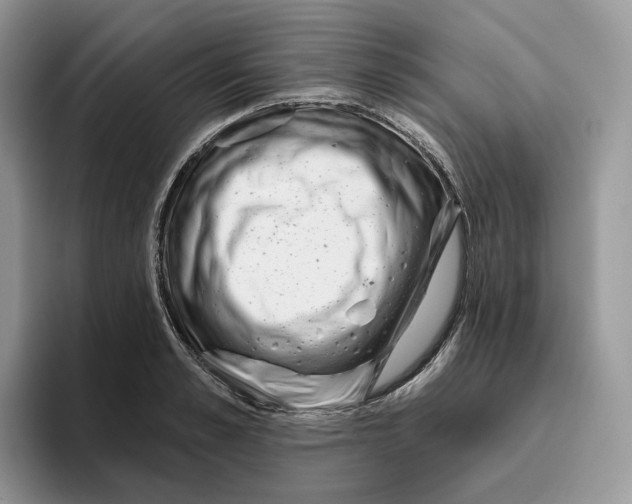 X0000095960989200802011118