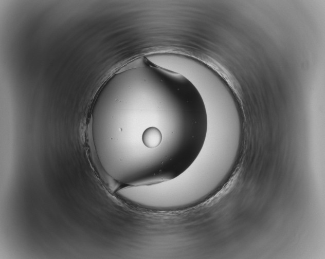 X0000095960993200802011118