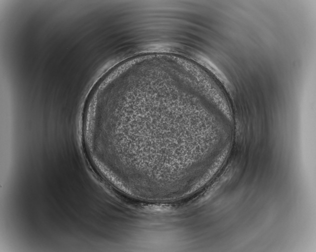 X0000095960994200802011118