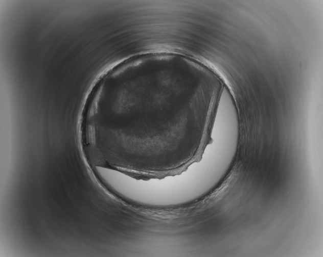 X0000095960995200802011118